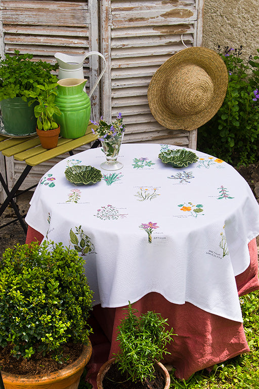 Nappe Herbier