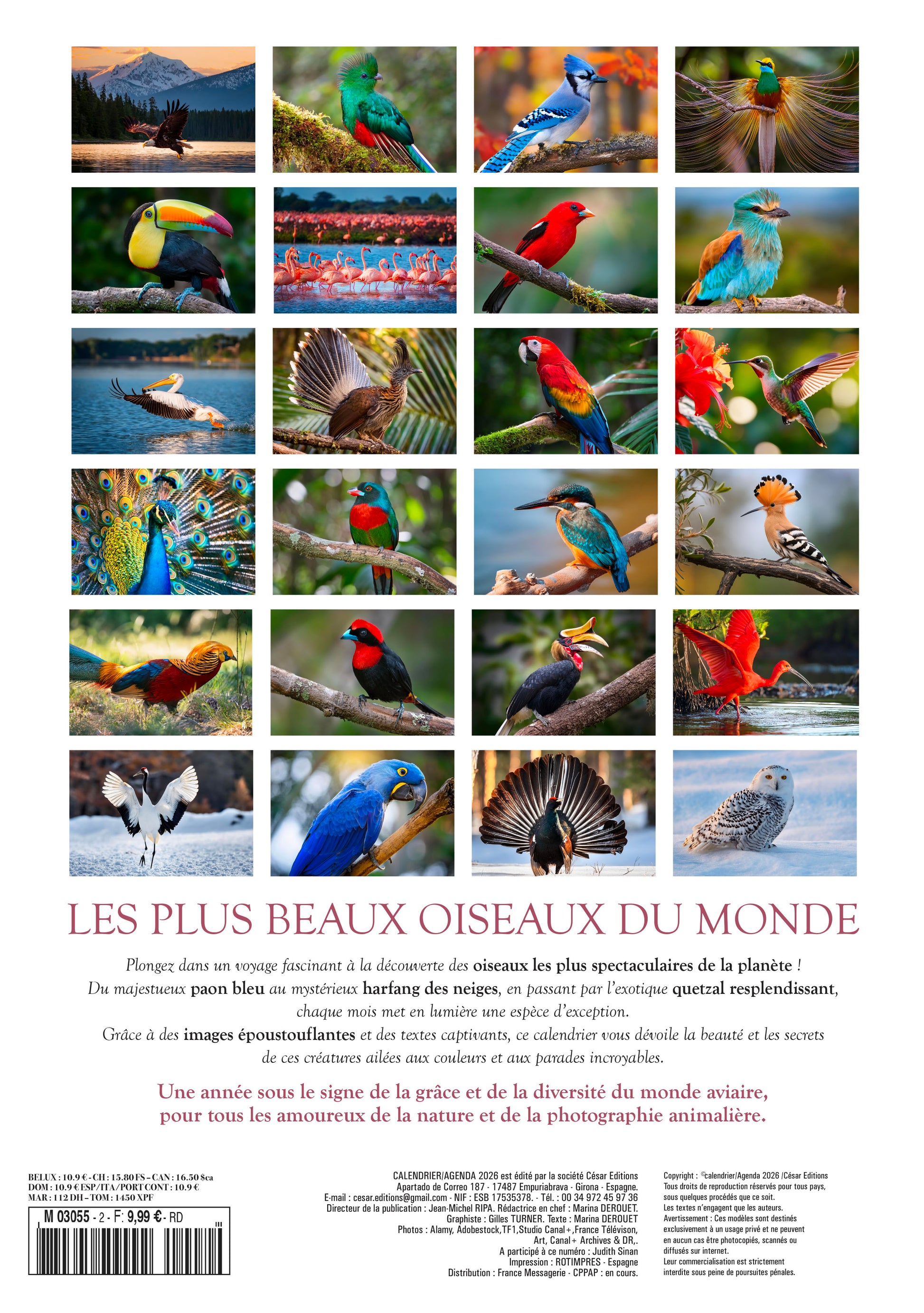 Calendrier 2026 : Les plus beaux oiseaux du monde