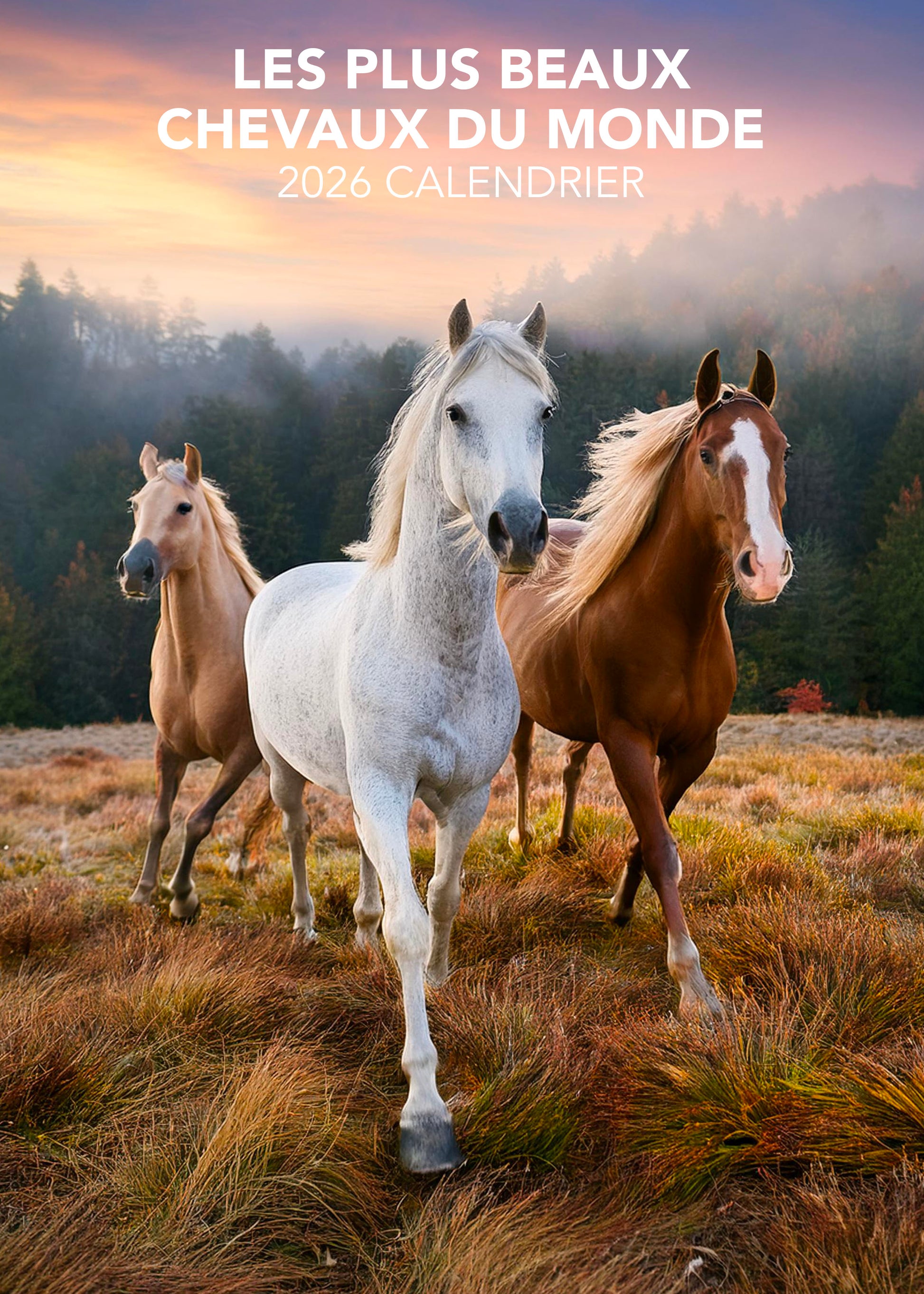 Calendrier 2026 : Les chevaux