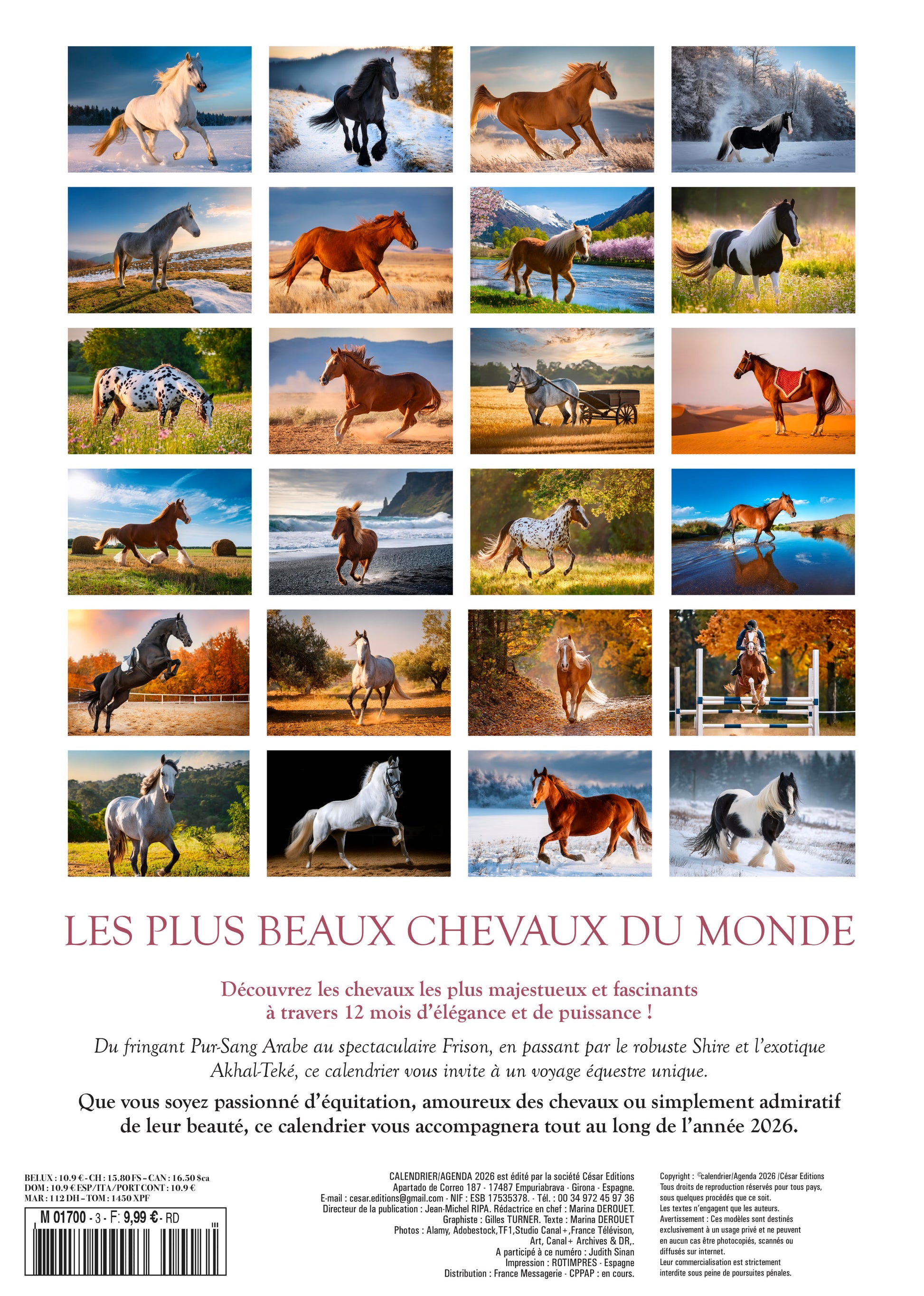 Calendrier 2026 : Les chevaux
