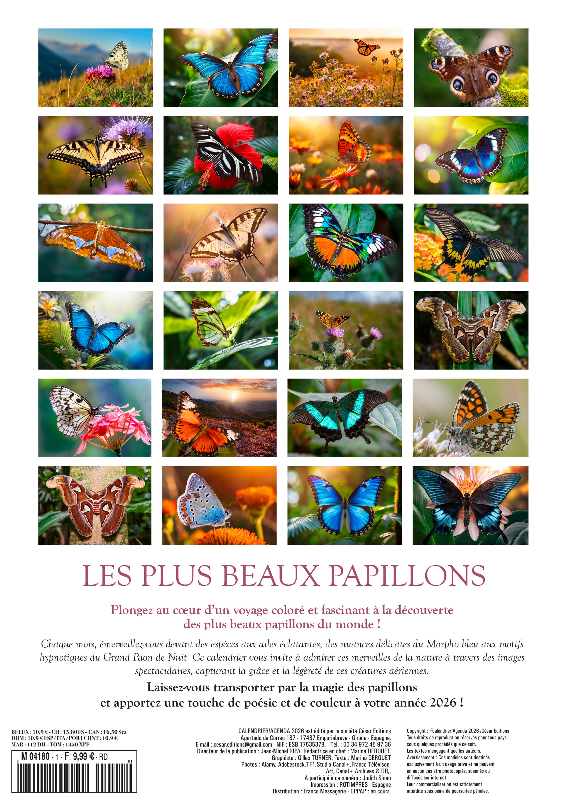 Calendrier 2026 : Les plus beaux papillons du monde