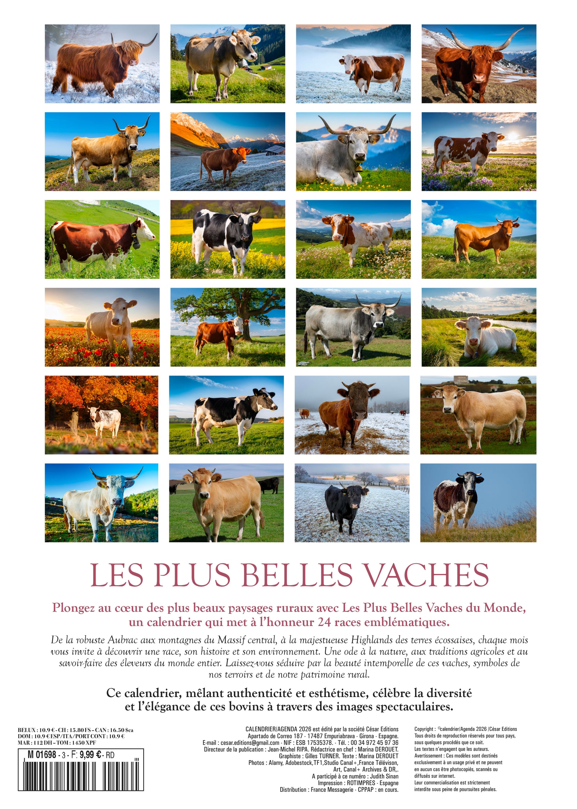 Calendrier 2026 : Les plus belles vaches du monde