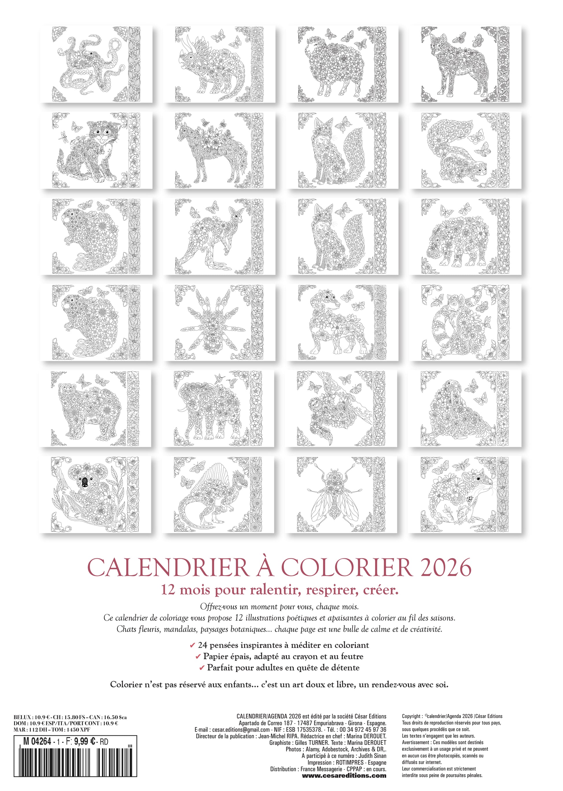Calendrier 2026 : À colorier
