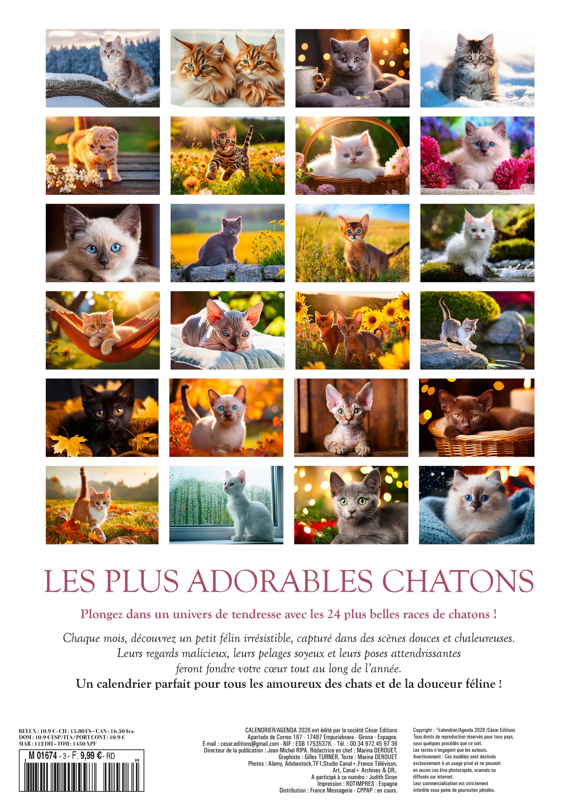Calendrier 2026 : Chatons