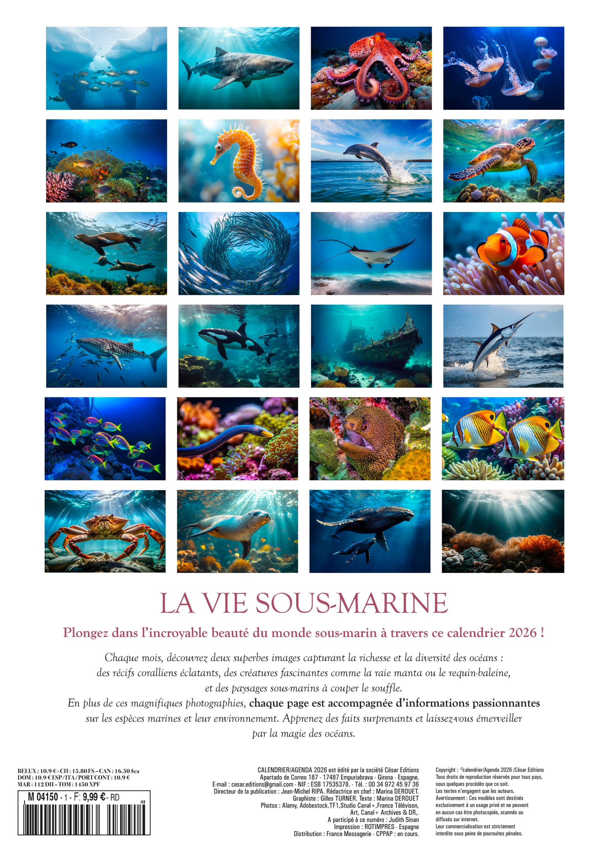 Calendrier 2026 : La vie sous-marine