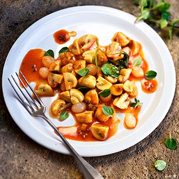 Mon Robot & Moi N°50 - 9 robots