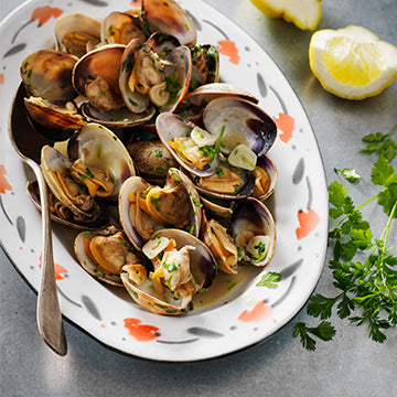 Mon Robot & Moi N°57 - 9 robots