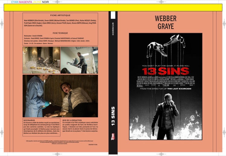 13 SINS
