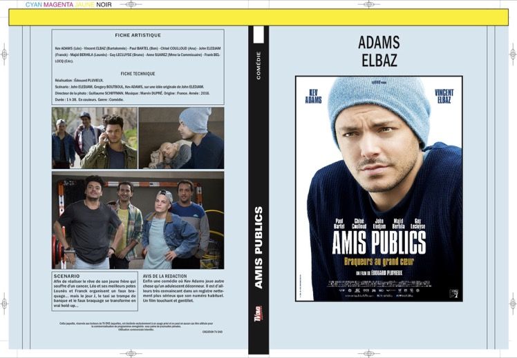 AMIS PUBLICS