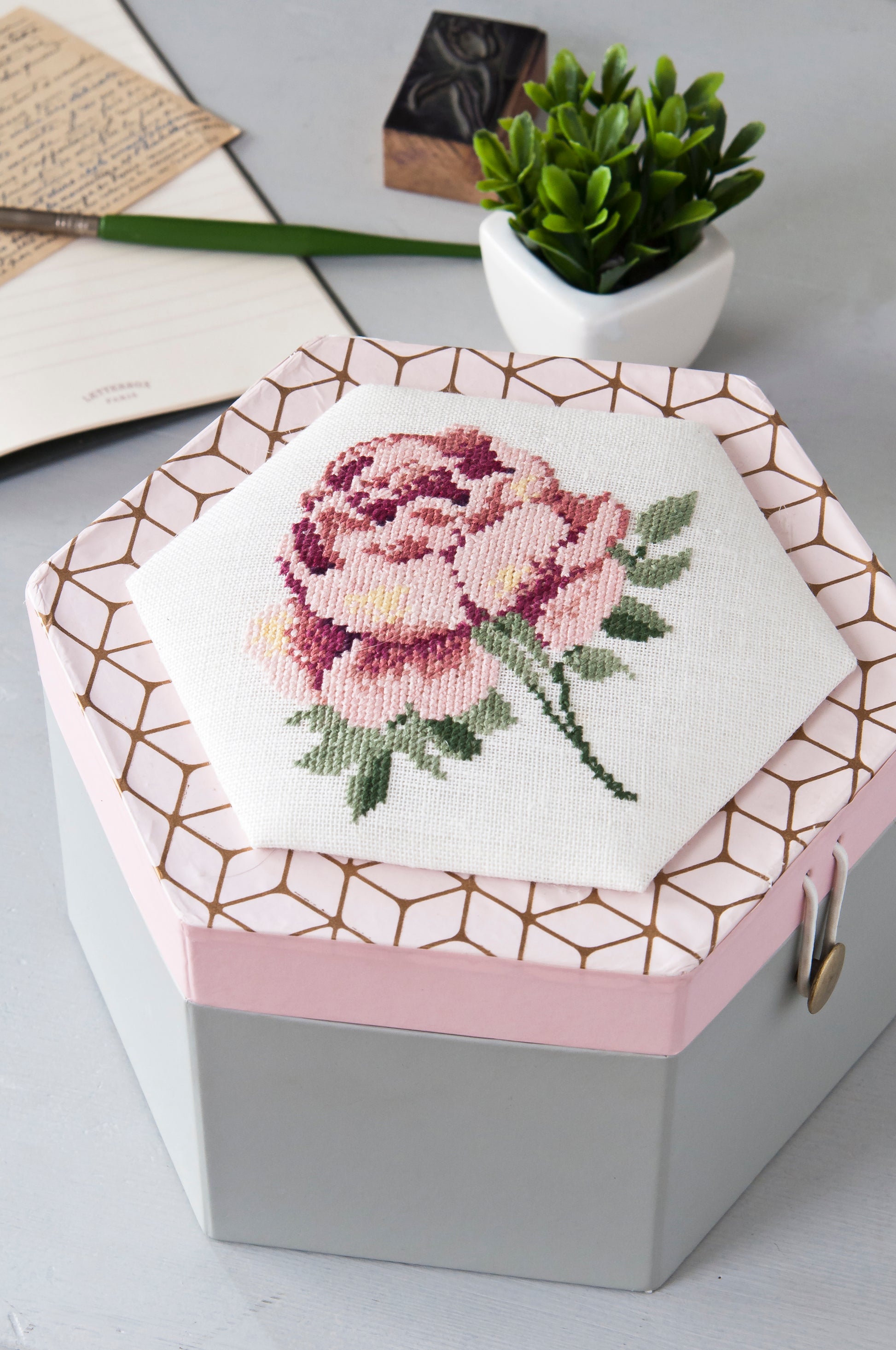 Mook point de croix : études botaniques à broder par Monique Bonin, Véronique Enginger, Lilli Violette et Marie-Thérèse Saint-Aubin — fleurs, plantes et motifs naturalistes.