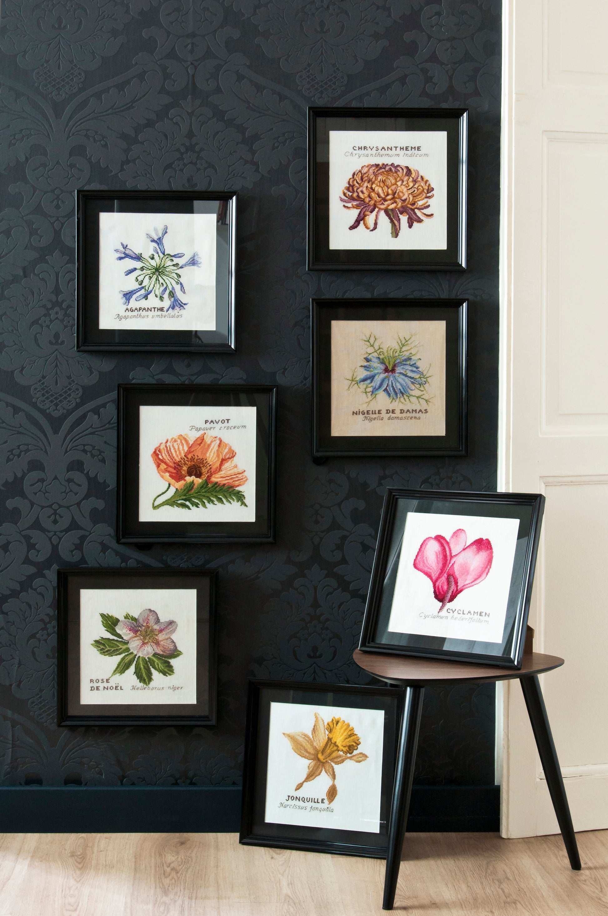 Mook point de croix : études botaniques à broder par Monique Bonin, Véronique Enginger, Lilli Violette et Marie-Thérèse Saint-Aubin — fleurs, plantes et motifs naturalistes.
