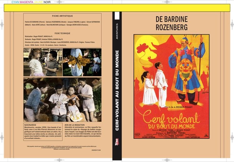 CERF-VOLANT DU BOUT DU MONDE