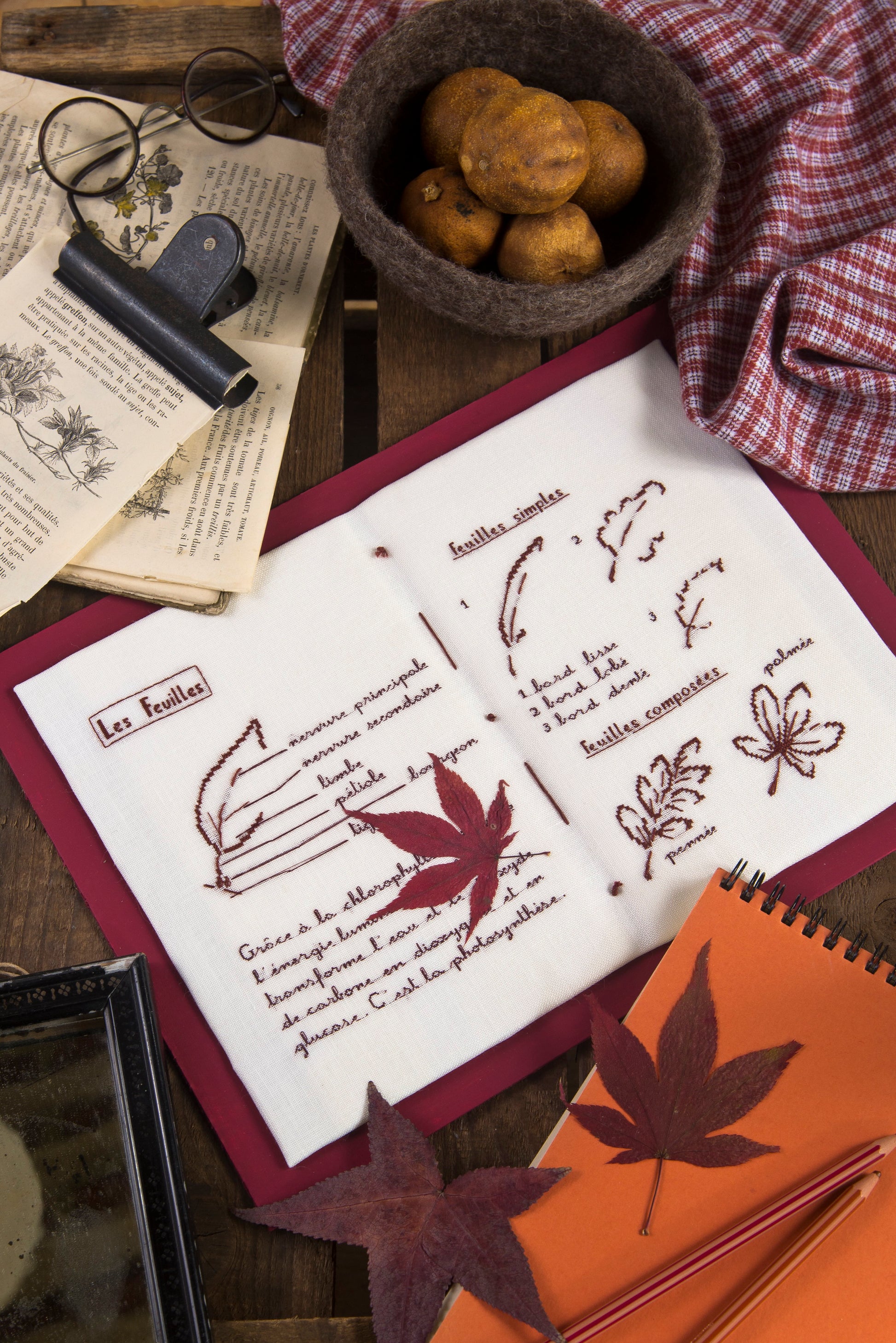 Les feuilles, Création Point de Croix n°108