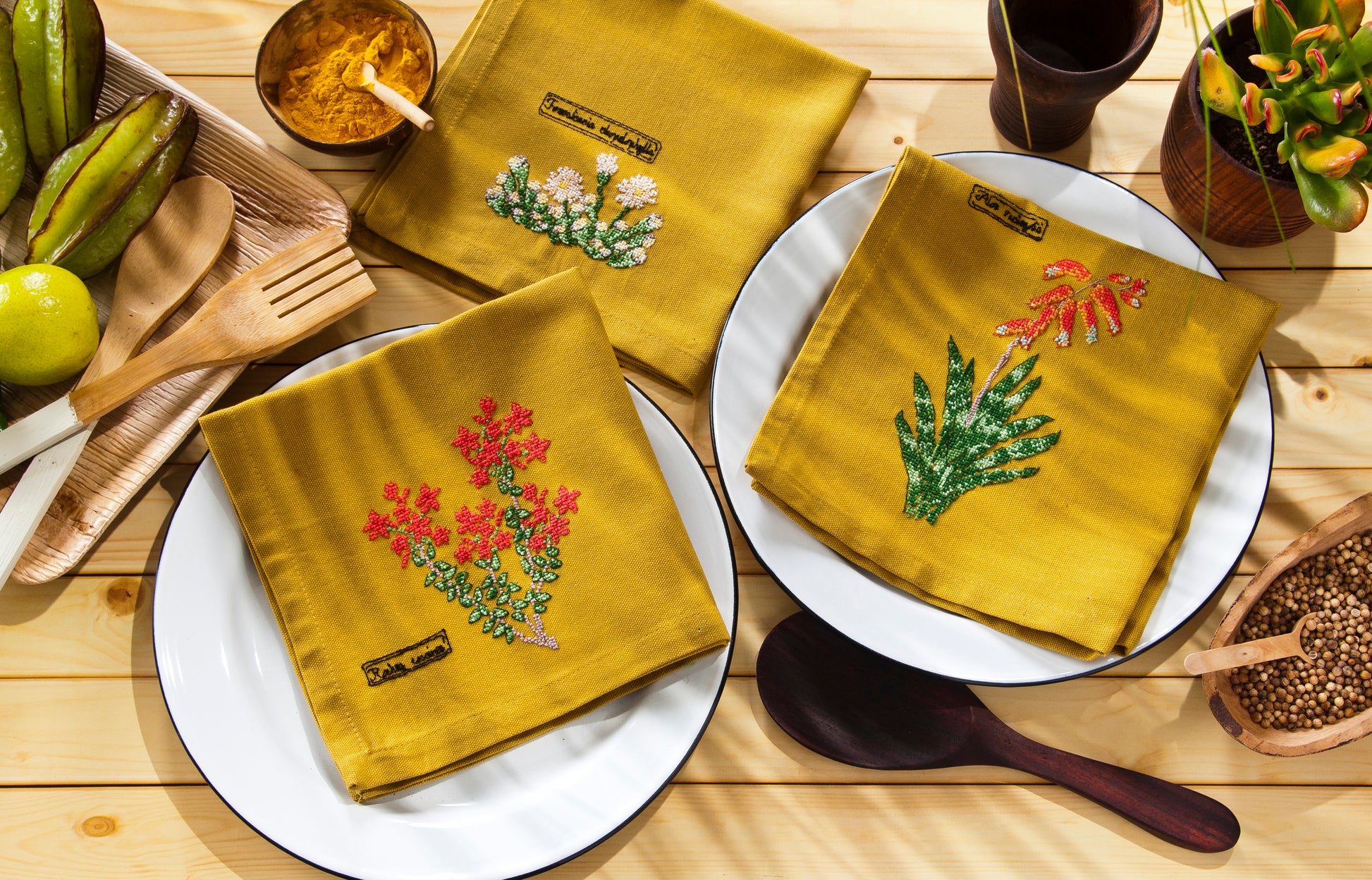 Cactus & Succulentes