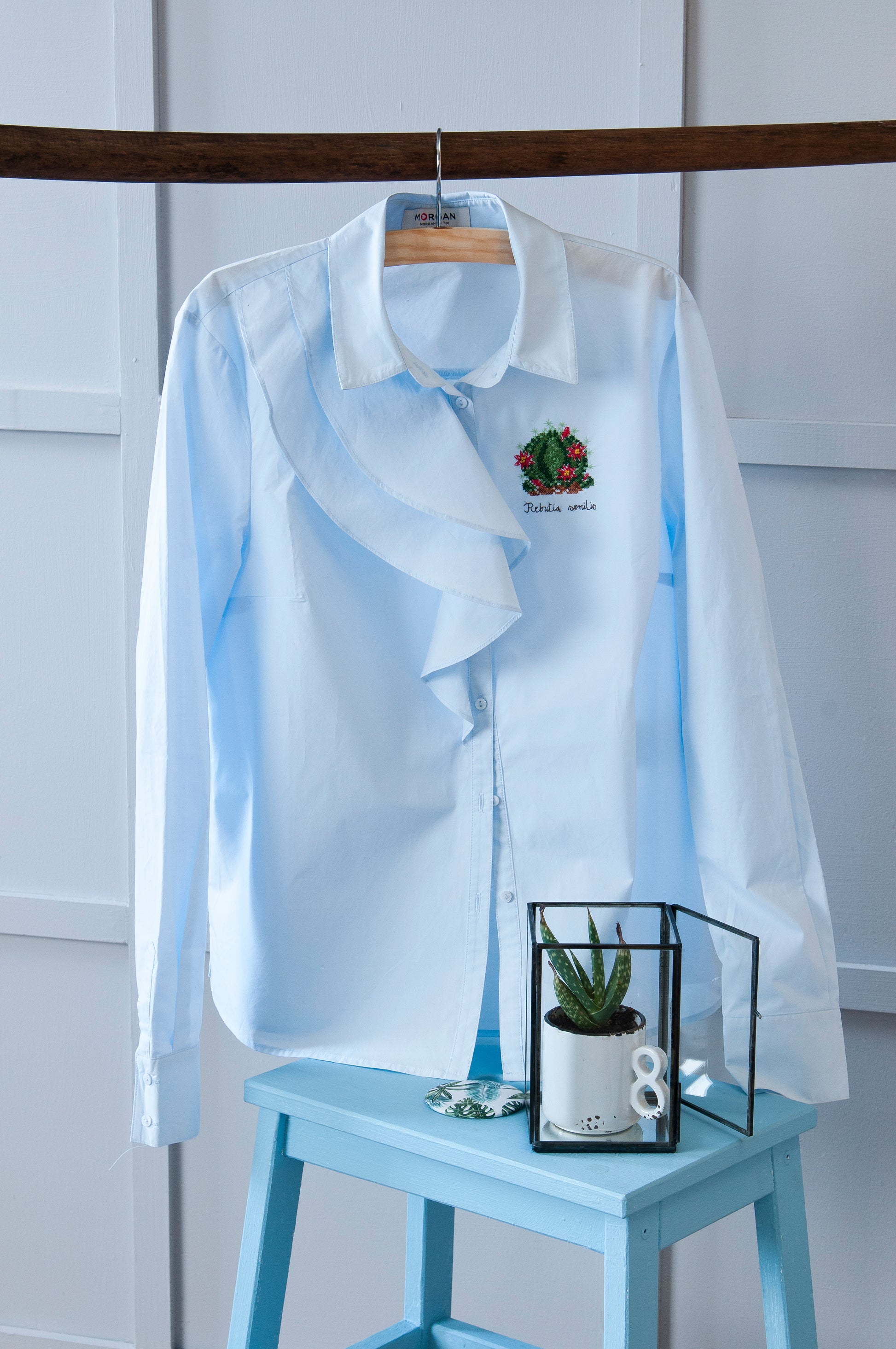 Cactus & Succulentes