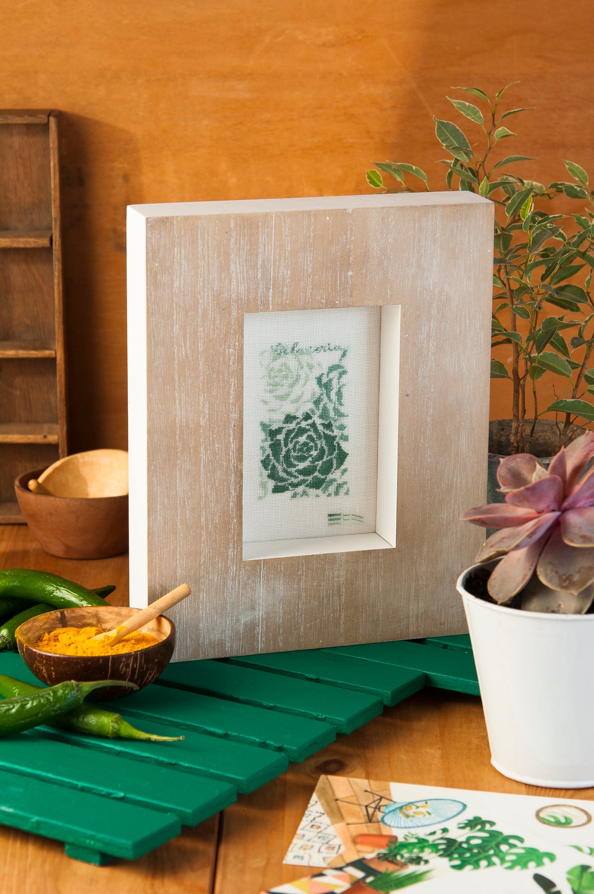 Mook point de croix : 23 modèles de cactus et succulentes à broder — créations rapides et originales pour apporter une touche de green à votre intérieur.