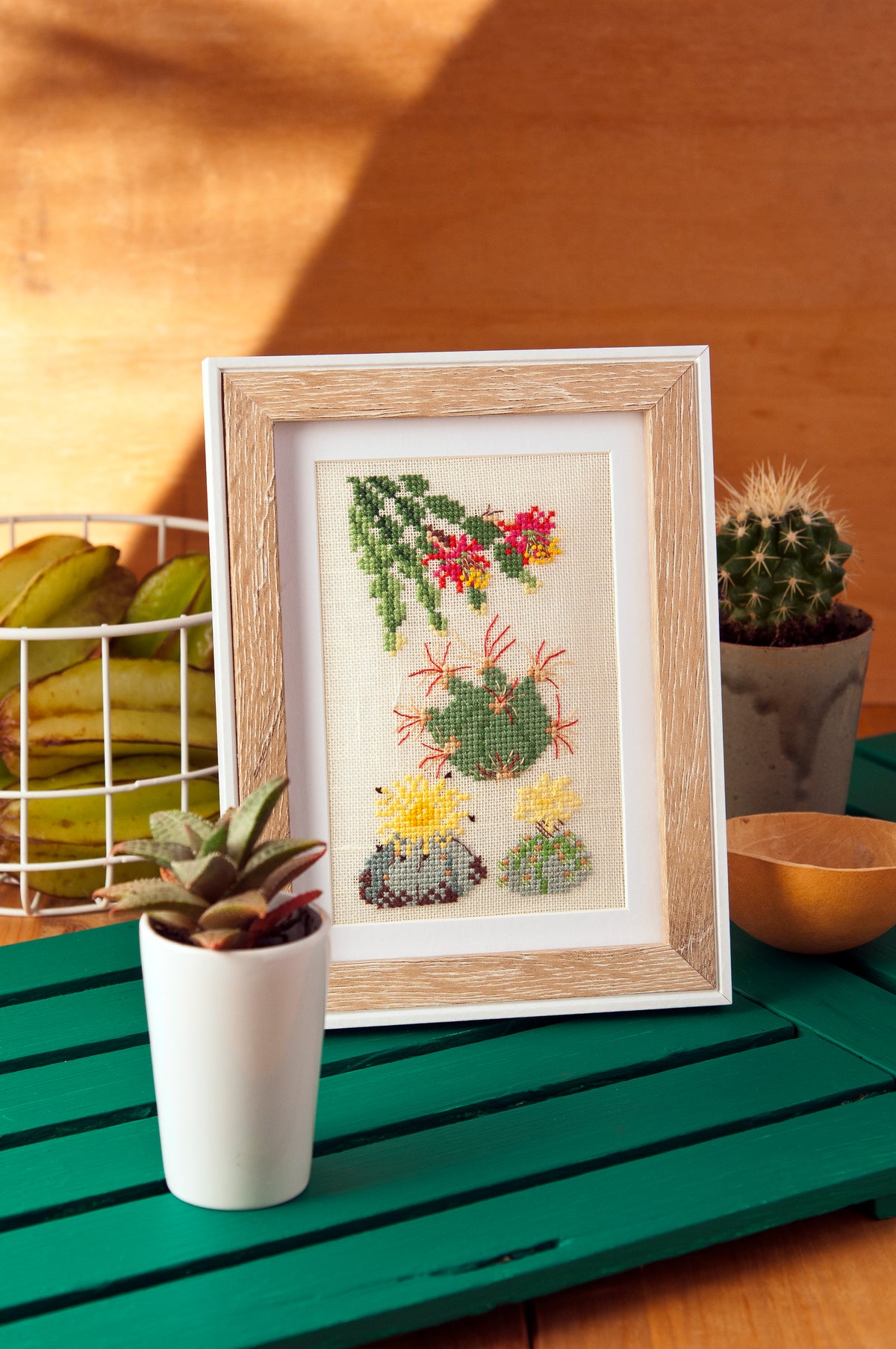 Mook point de croix : 23 modèles de cactus et succulentes à broder — créations rapides et originales pour apporter une touche de green à votre intérieur.