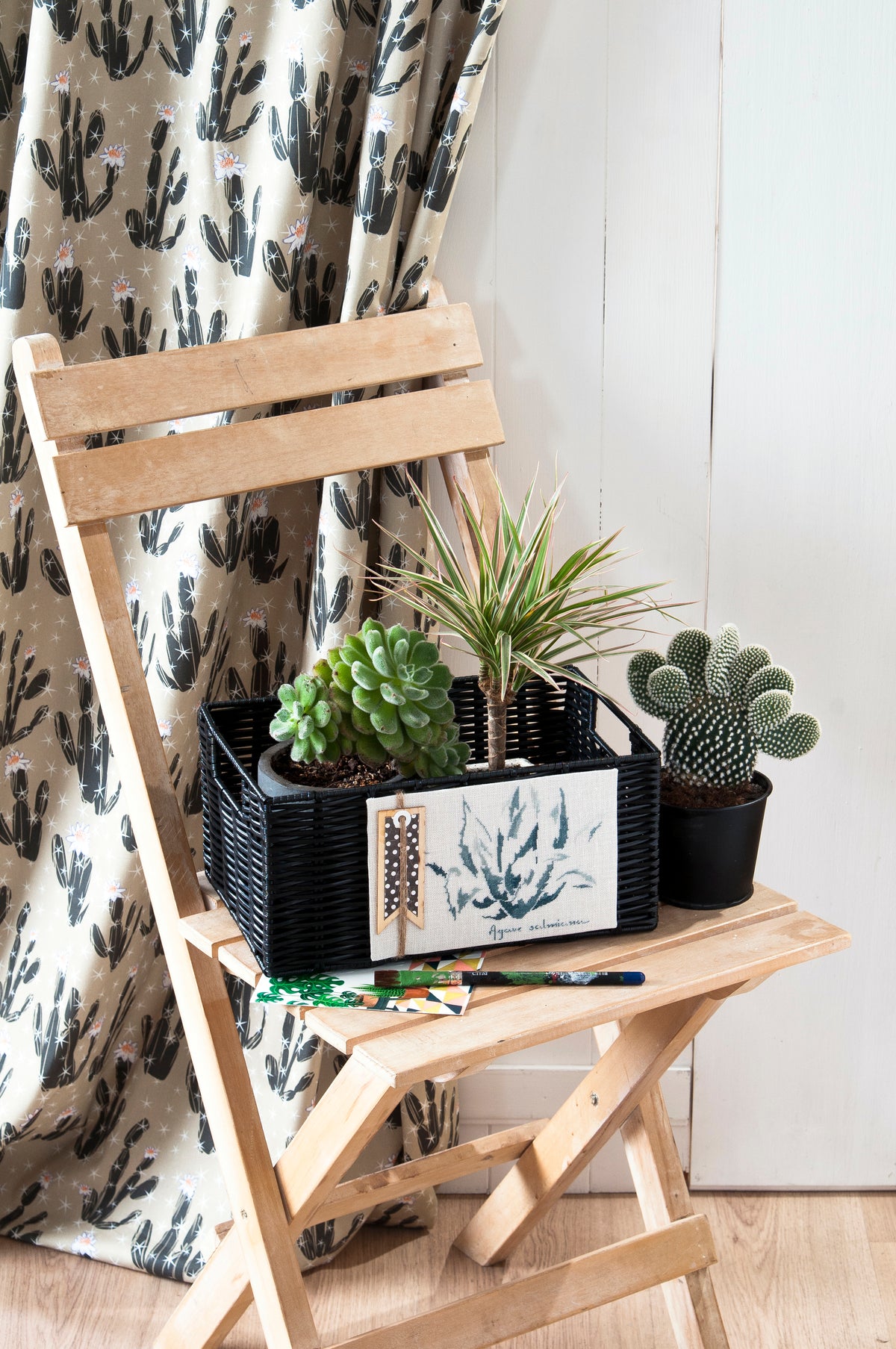 Mook point de croix : 23 modèles de cactus et succulentes à broder — créations rapides et originales pour apporter une touche de green à votre intérieur.