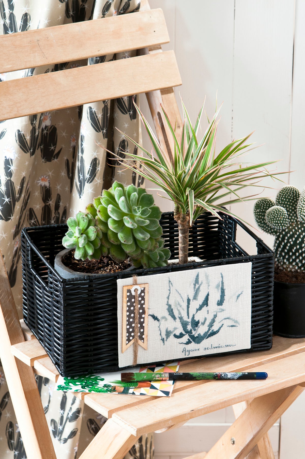 Mook point de croix : 23 modèles de cactus et succulentes à broder — créations rapides et originales pour apporter une touche de green à votre intérieur.