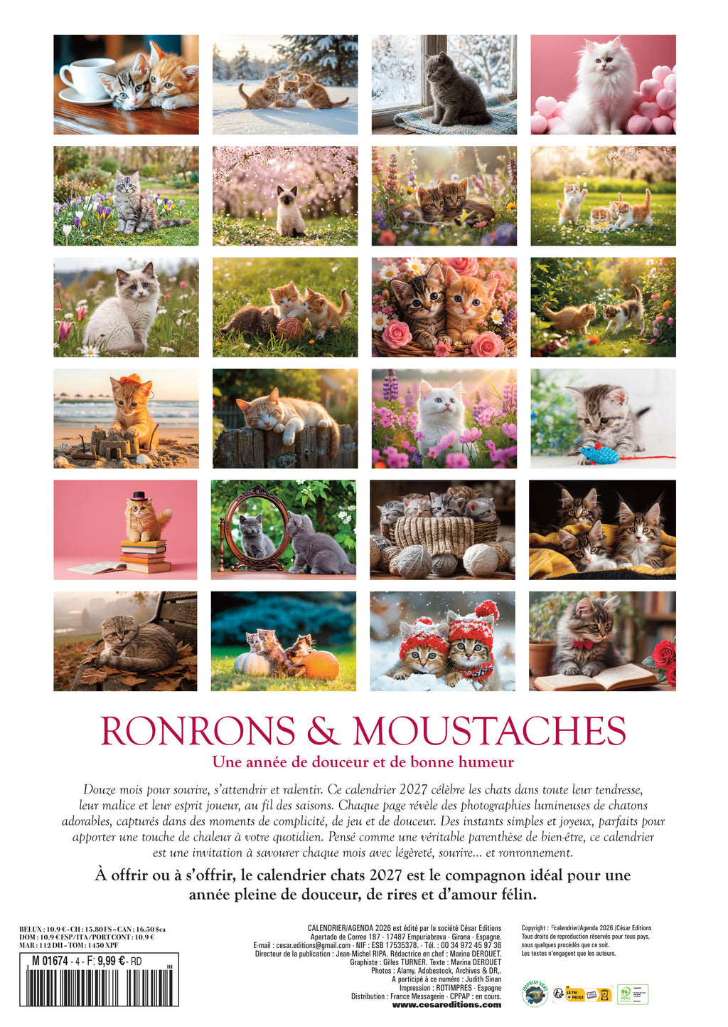 Calendrier 2027 Chatons : 12 mois de tendresse féline avec les 24 plus belles races de chatons. Regards malicieux et pelages soyeux toute l’année. 9,99 €.