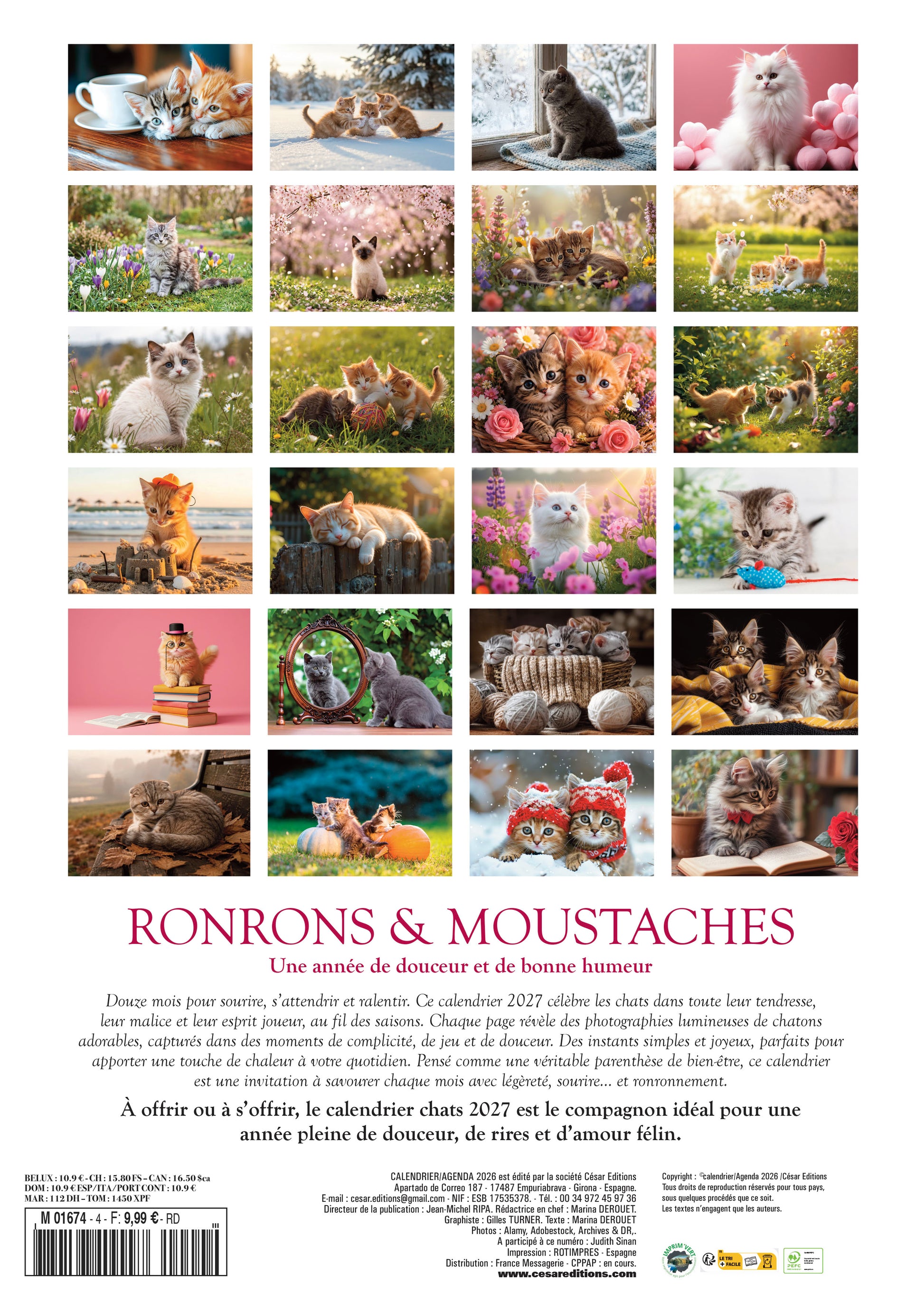 Calendrier 2027 Chatons : 12 mois de tendresse féline avec les 24 plus belles races de chatons. Regards malicieux et pelages soyeux toute l’année. 9,99 €.