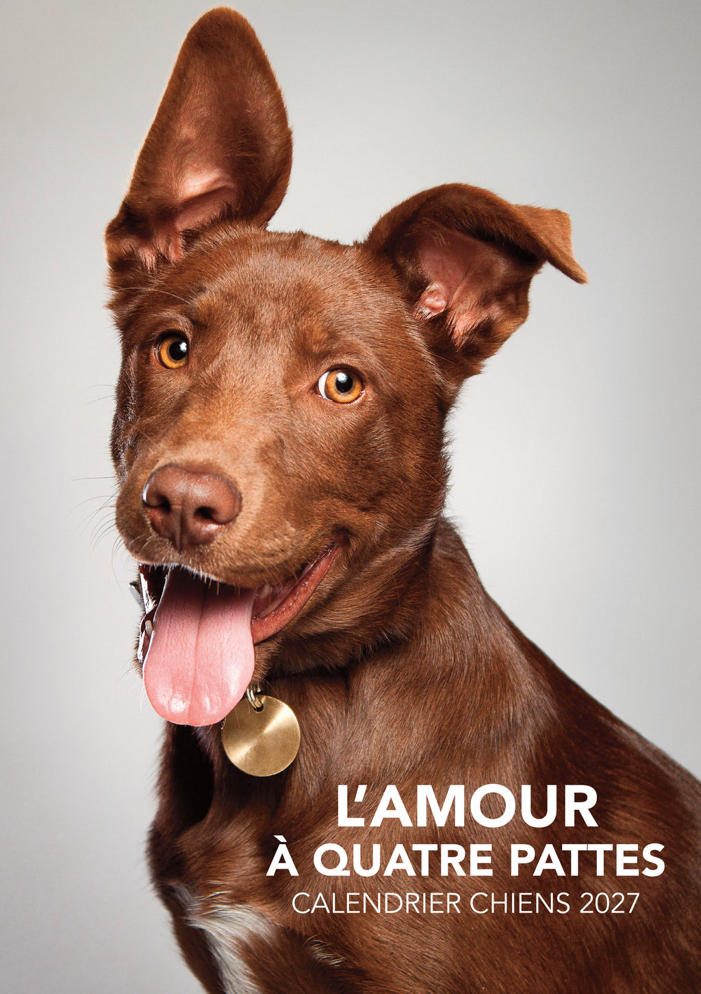 Découvrez le Calendrier 2027 L’Amour à Quatre Pattes : 12 portraits de chiens pleins de charme et de tendresse. Le cadeau idéal pour les amoureux des animaux. Livraison rapide.