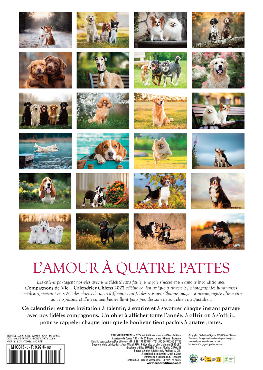 Découvrez le Calendrier 2027 L’Amour à Quatre Pattes : 12 portraits de chiens pleins de charme et de tendresse. Le cadeau idéal pour les amoureux des animaux. Livraison rapide.