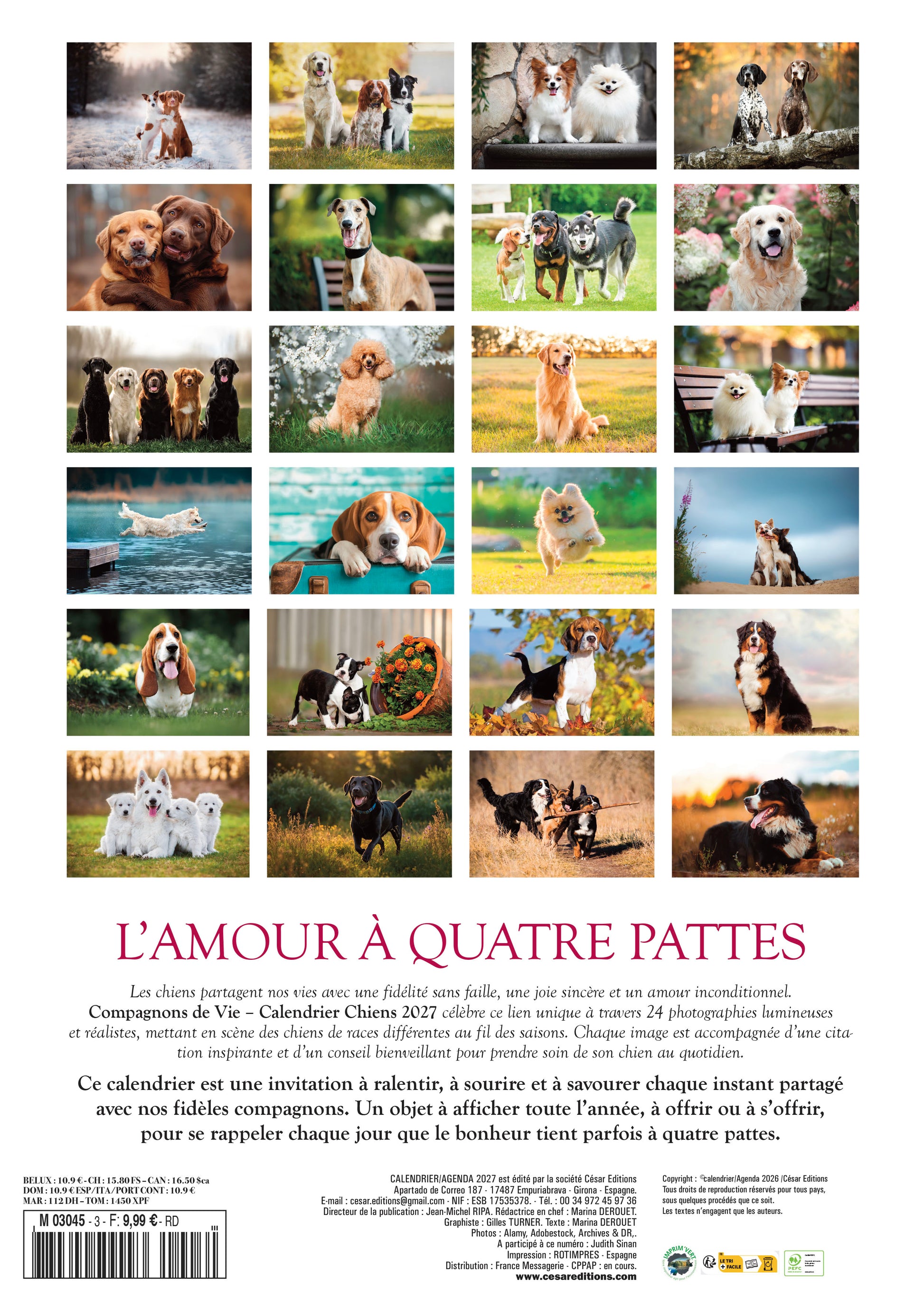 Découvrez le Calendrier 2027 L’Amour à Quatre Pattes : 12 portraits de chiens pleins de charme et de tendresse. Le cadeau idéal pour les amoureux des animaux. Livraison rapide.