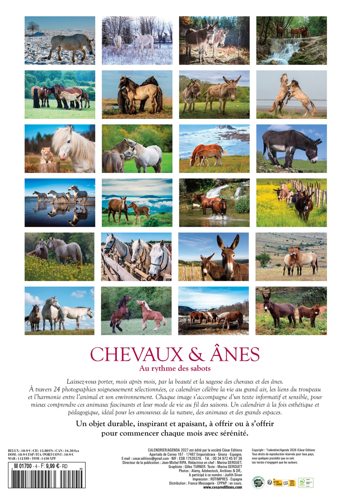 Calendrier 2027 – Les Chevaux | Élégance & Puissance | César Editions