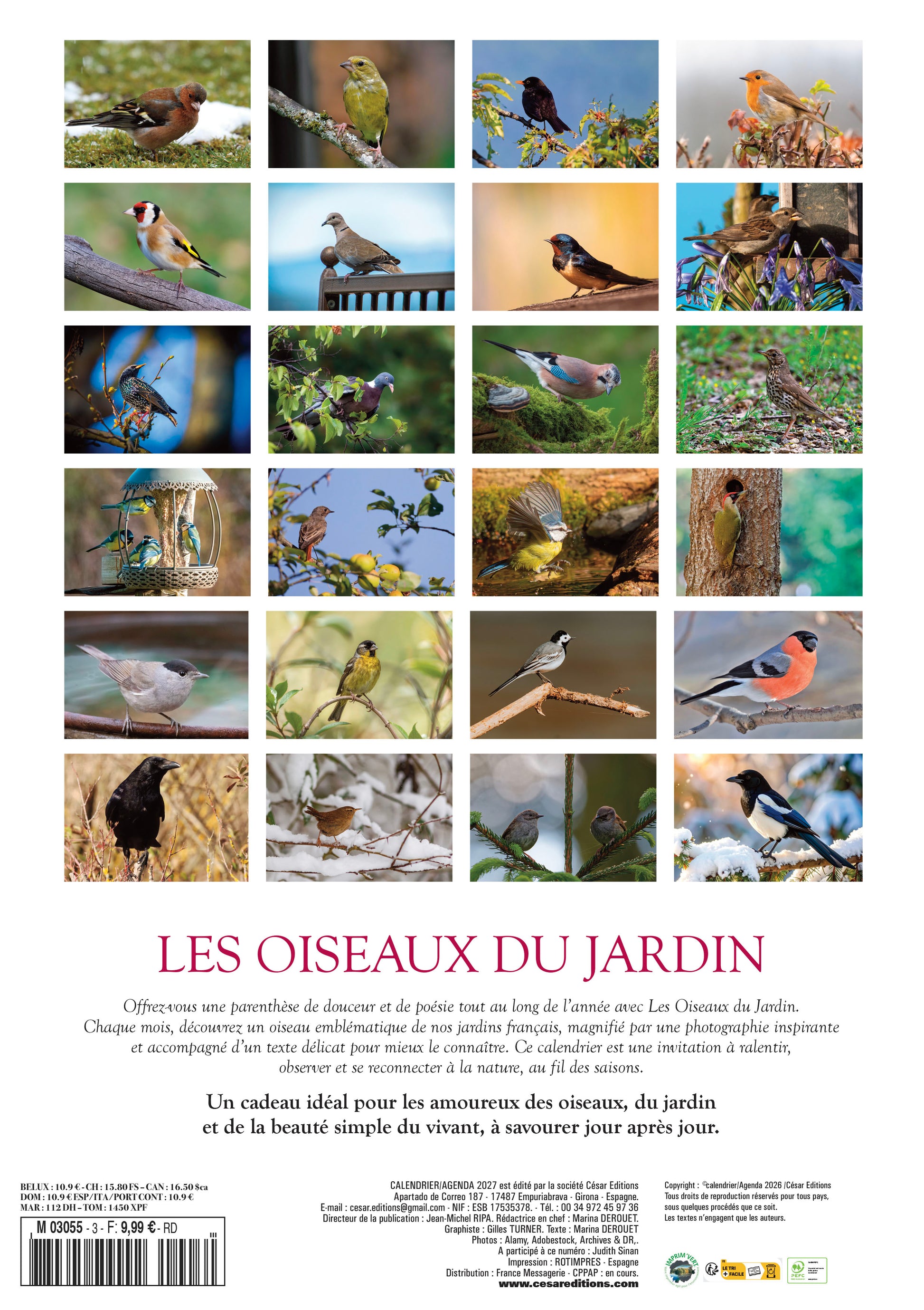 Calendrier 2027 Les Oiseaux : 12 espèces d’exception, du paon bleu au harfang des neiges. Photos époustouflantes pour les amoureux de la nature. 9,99 €.