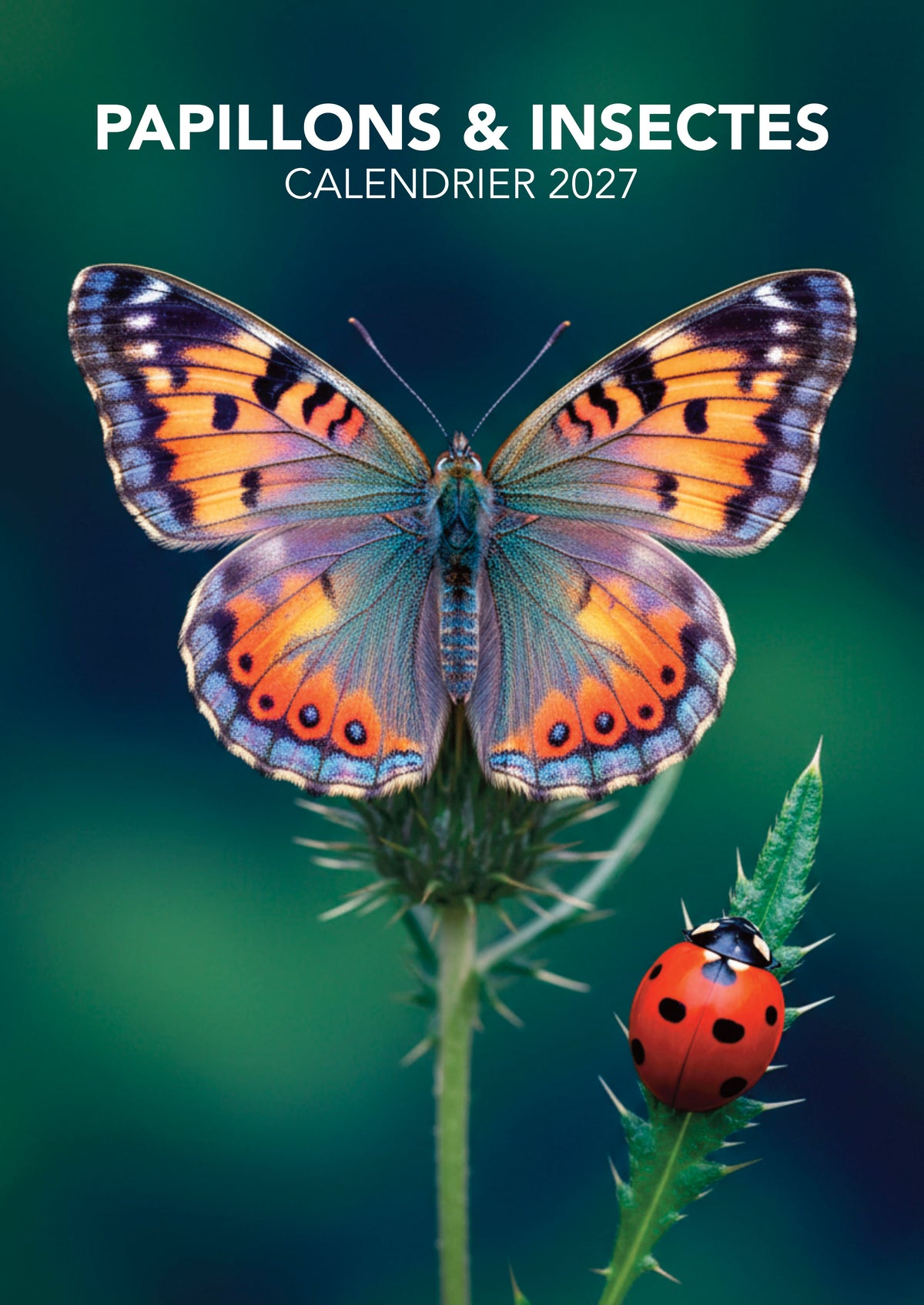 Calendrier 2027 Papillons : 12 espèces aux ailes éclatantes, du Morpho bleu au Grand Paon de Nuit. Un voyage coloré dans la nature toute l’année. 9,99 €.