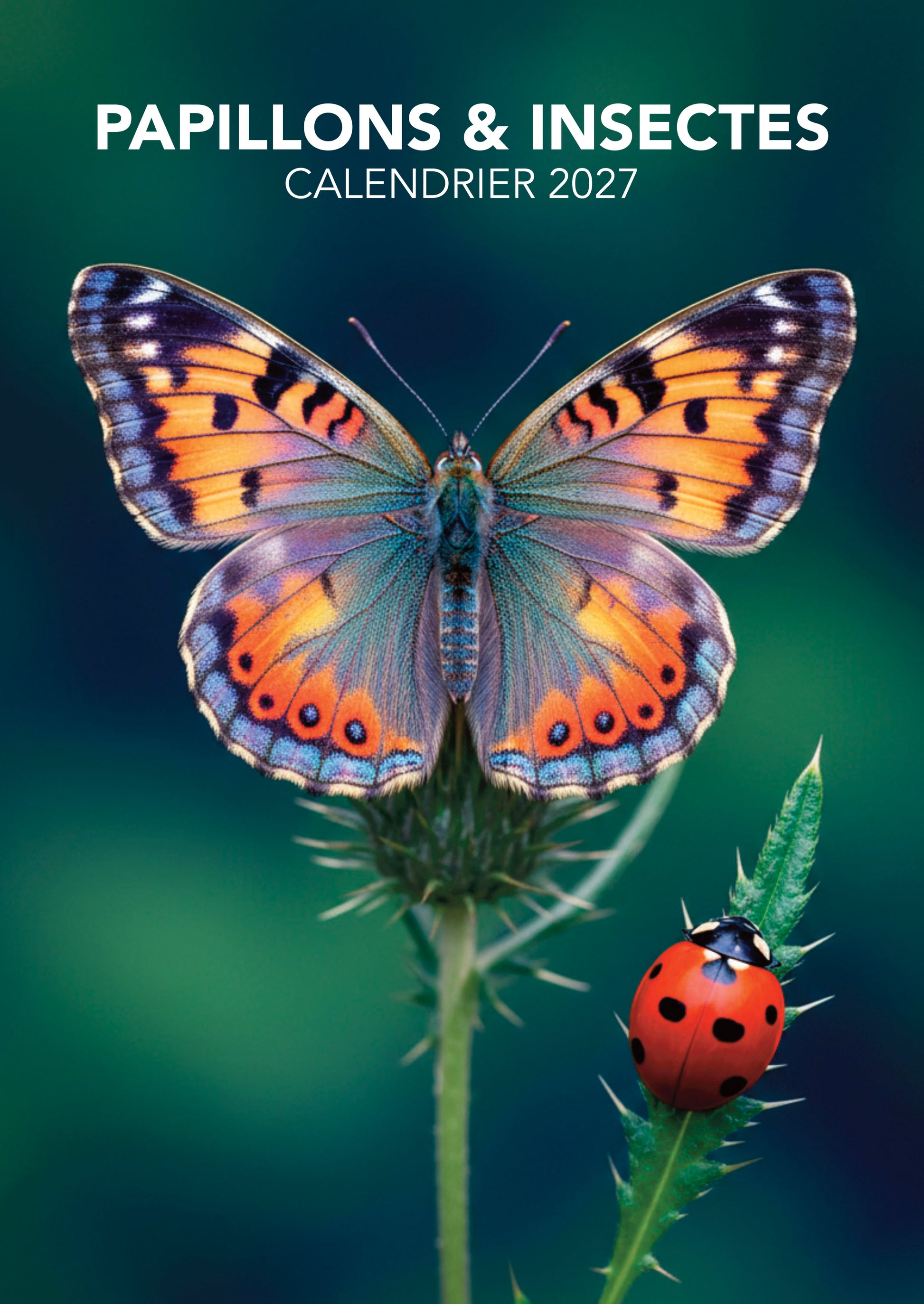 Calendrier 2027 Papillons : 12 espèces aux ailes éclatantes, du Morpho bleu au Grand Paon de Nuit. Un voyage coloré dans la nature toute l’année. 9,99 €.