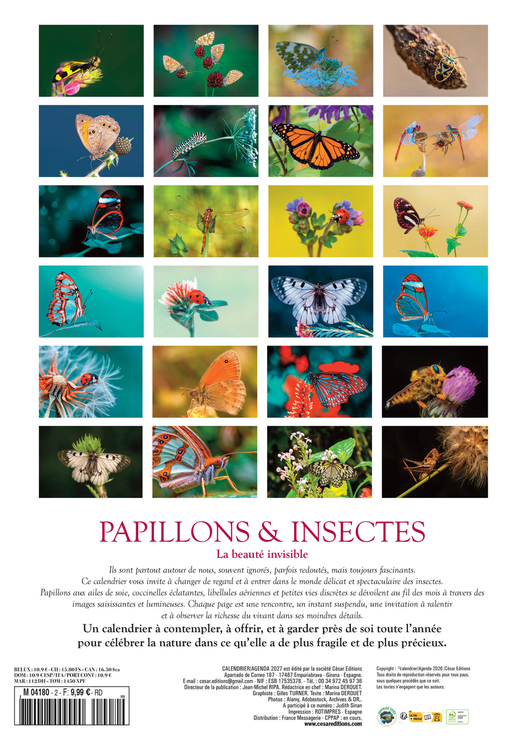 Calendrier 2027 Papillons : 12 espèces aux ailes éclatantes, du Morpho bleu au Grand Paon de Nuit. Un voyage coloré dans la nature toute l’année. 9,99 €.