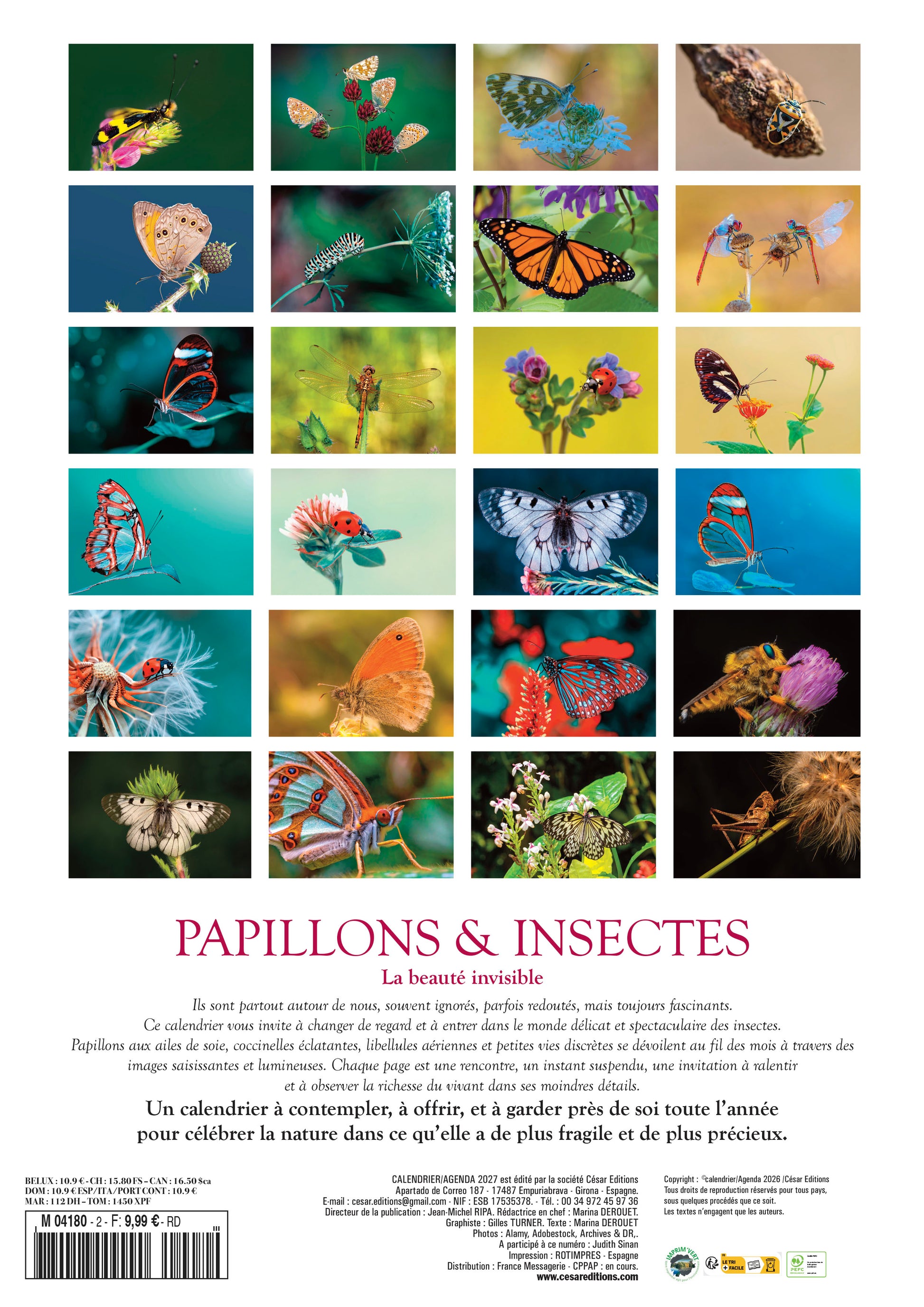 Calendrier 2027 Papillons : 12 espèces aux ailes éclatantes, du Morpho bleu au Grand Paon de Nuit. Un voyage coloré dans la nature toute l’année. 9,99 €.