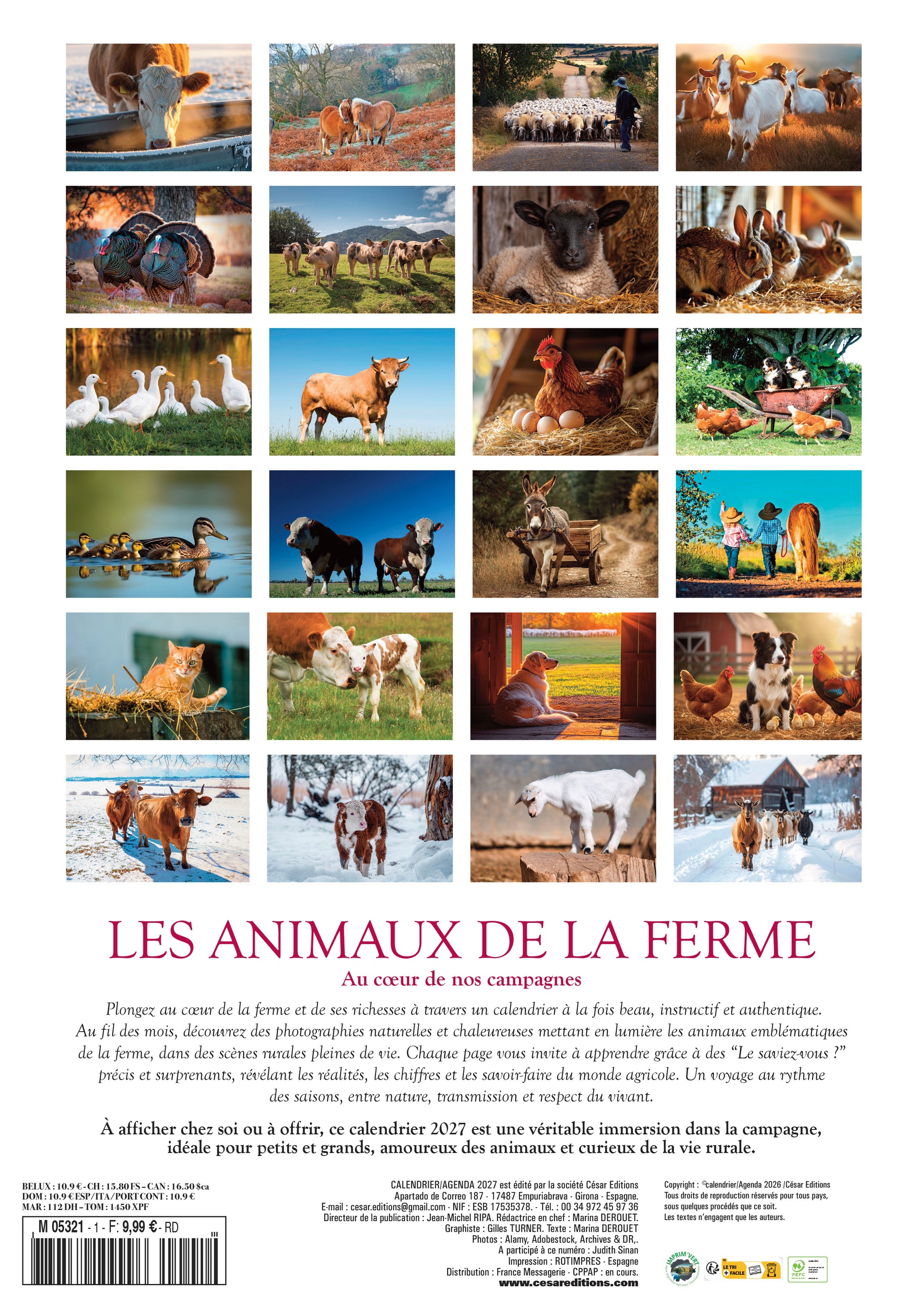 Découvrez le Calendrier 2027 Les Animaux de la Ferme : 12 mois de vie rurale, vaches, moutons, poules et paysages champêtres. Un calendrier plein de charme et d’authenticité.