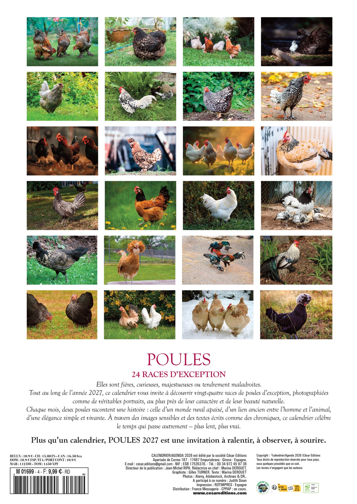Calendrier 2027 Les Poules : 12 photos spectaculaires des plus belles races du monde, de la Brahma à la Cemani. Un voyage au fil des saisons. 9,99 €.