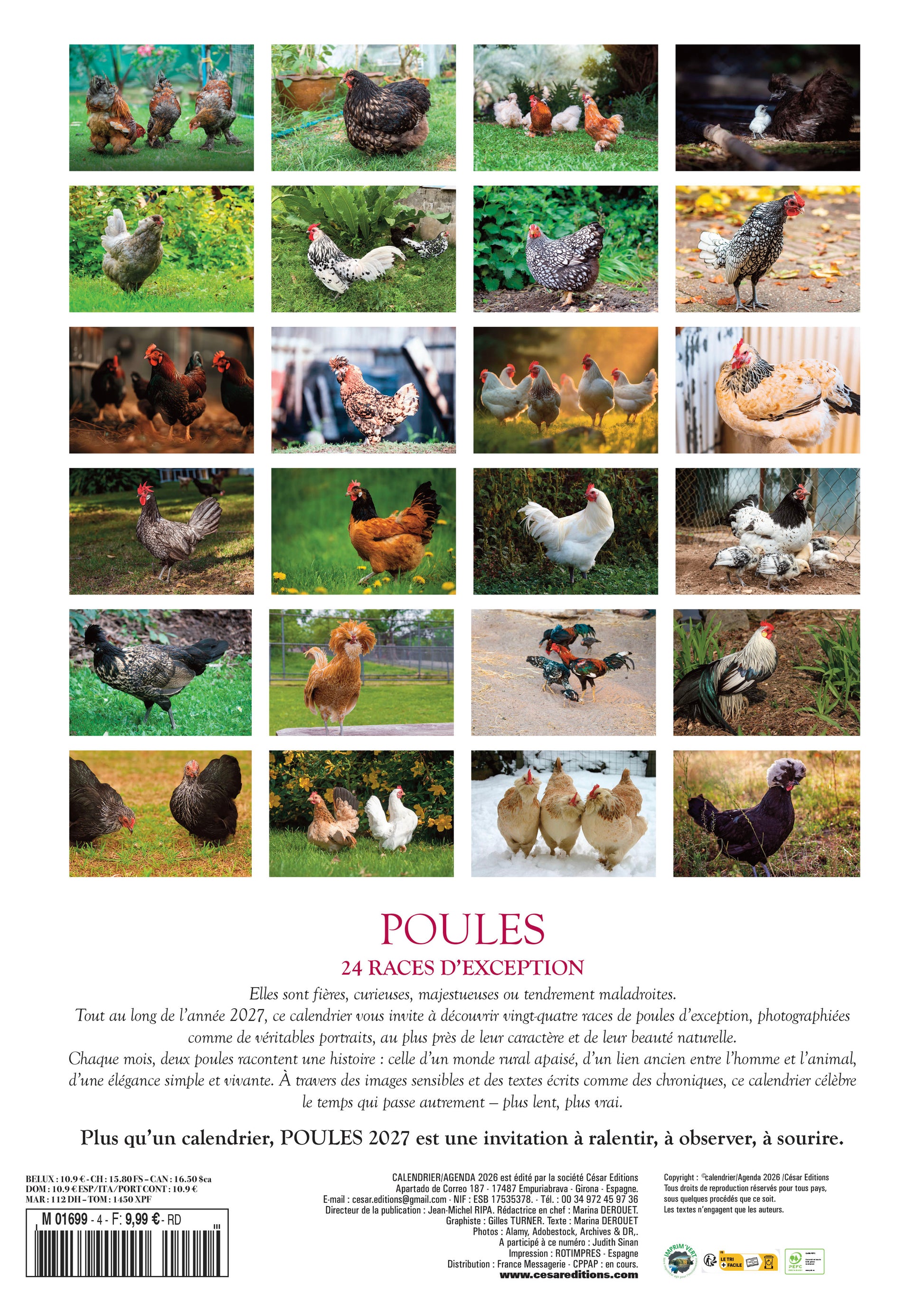 Calendrier 2027 Les Poules : 12 photos spectaculaires des plus belles races du monde, de la Brahma à la Cemani. Un voyage au fil des saisons. 9,99 €.