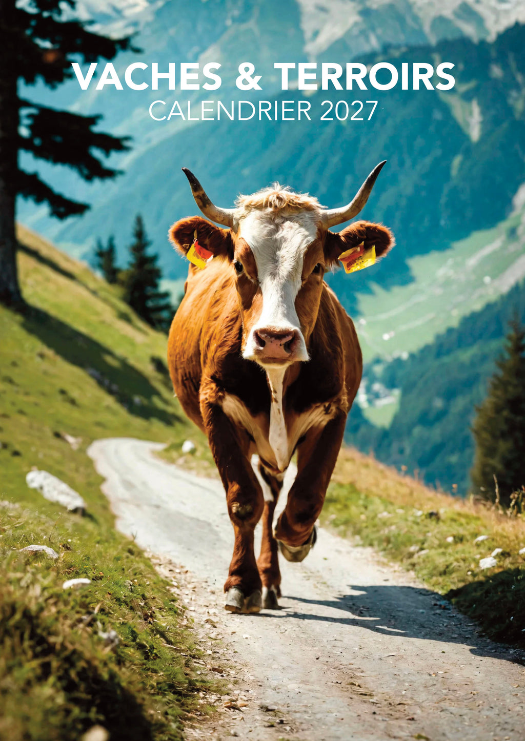 Découvrez le Calendrier 2027 Les Plus Belles Vaches du Monde : 24 races emblématiques, de l'Aubrac aux Highlands. Photos spectaculaires, histoire et terroirs agricoles. Livraison rapide.