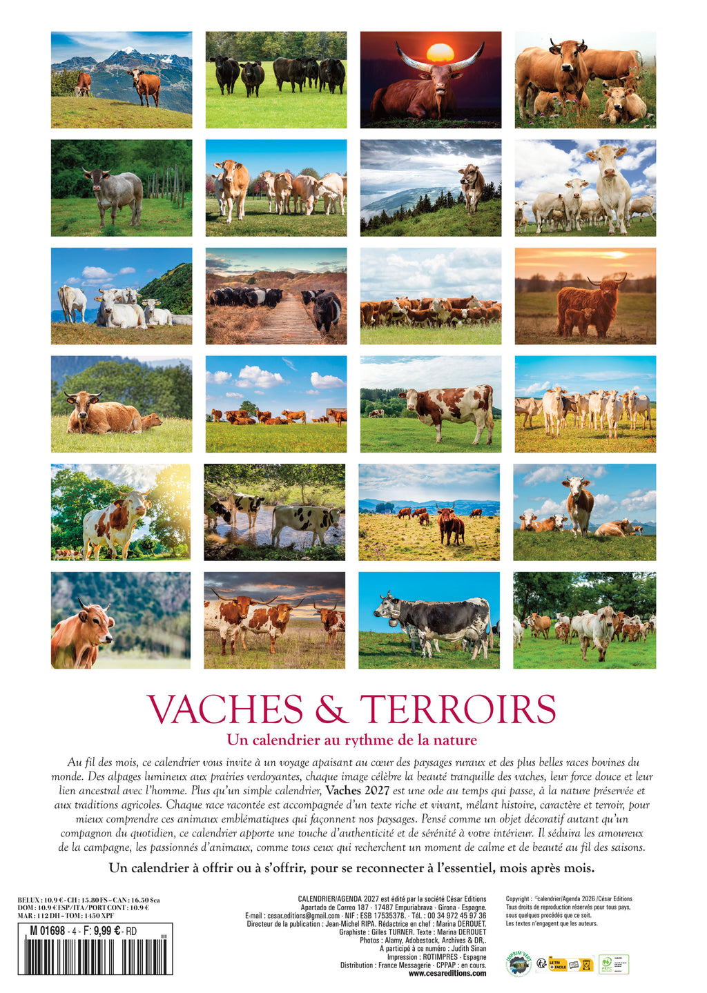 Découvrez le Calendrier 2027 Les Plus Belles Vaches du Monde : 24 races emblématiques, de l'Aubrac aux Highlands. Photos spectaculaires, histoire et terroirs agricoles. Livraison rapide.