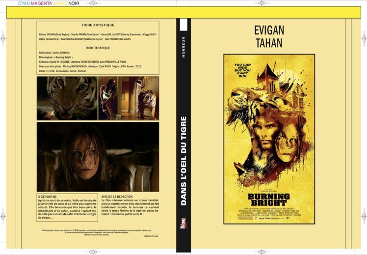 DANS L'OEIL DU TIGRE