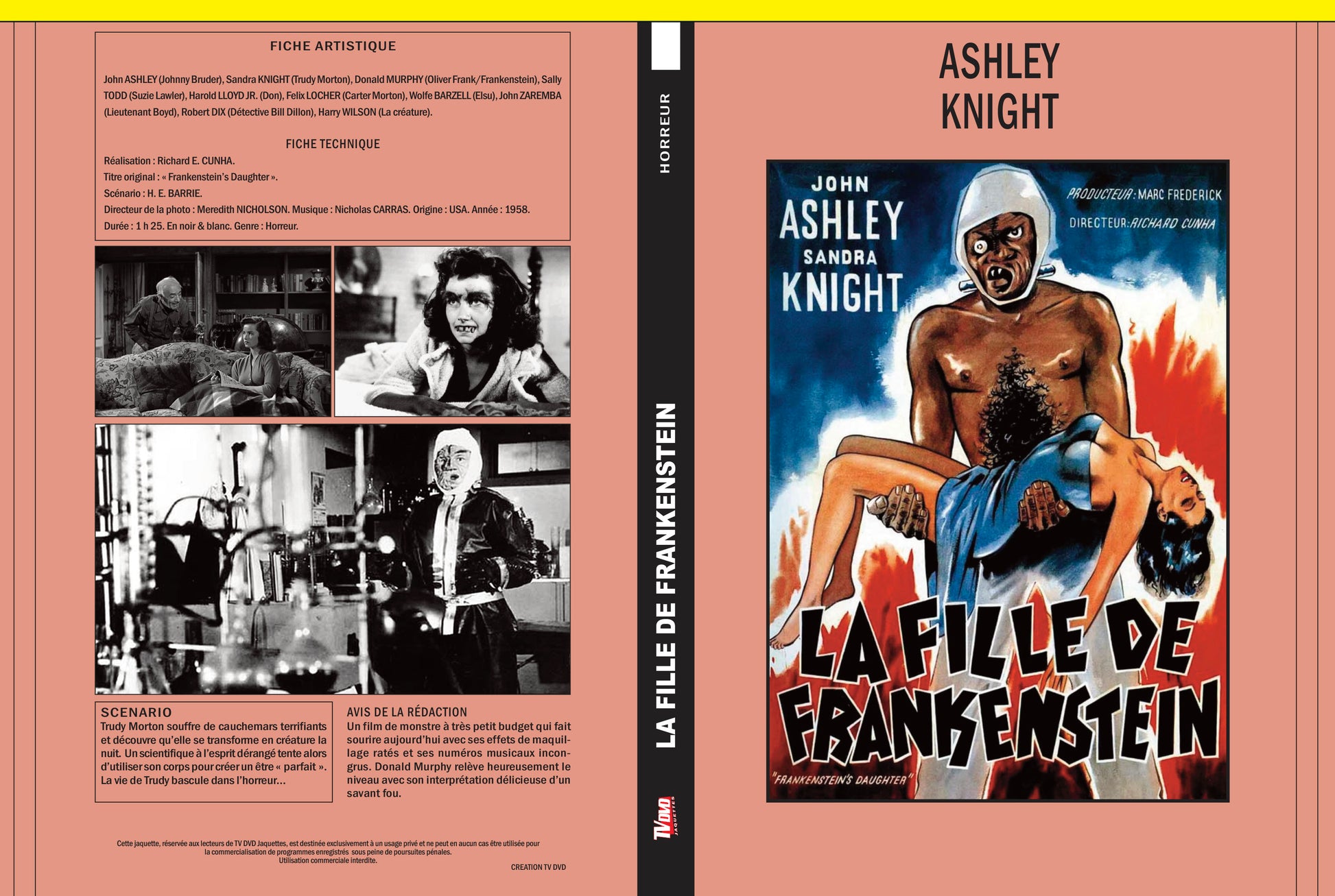 LA FILLE DE FRANKENSTEIN