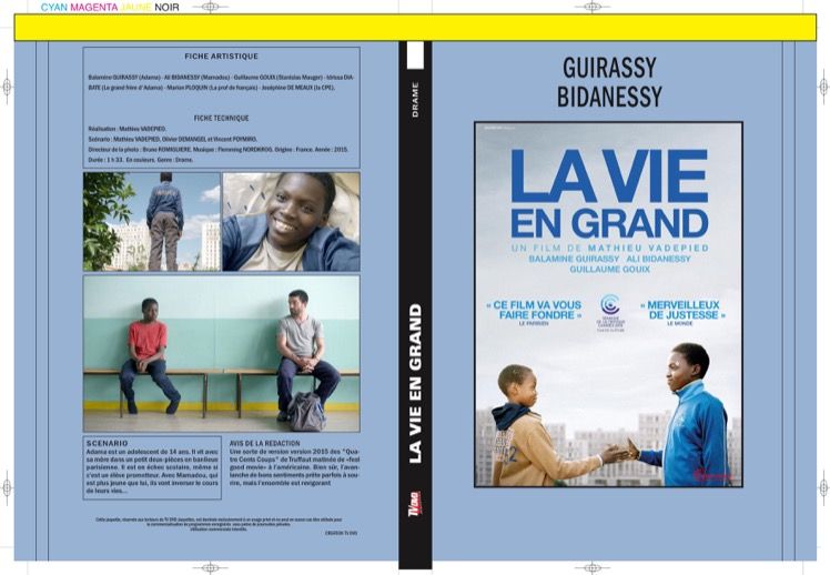 LA VIE EN GRAND