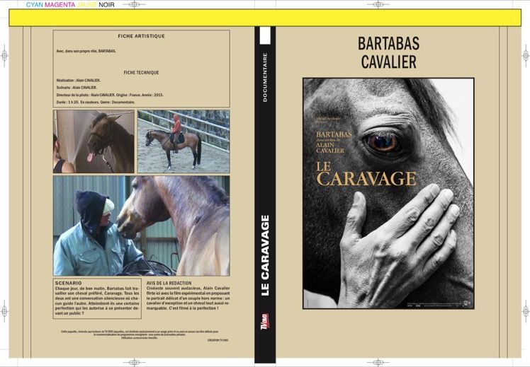 LE CARAVAGE - DOCU