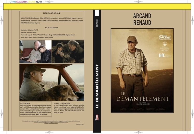 LE DEMANTELEMENT