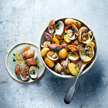 Mon Robot & Moi N°76 - 9 robots