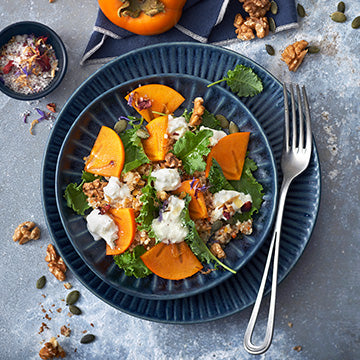 Mon Robot & Moi N°65 - 9 robots