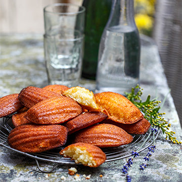 Mon Robot & Moi N°70 - 9 robots