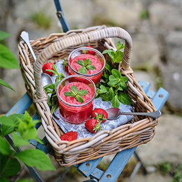 Mon Robot & Moi N°77 - 9 robots