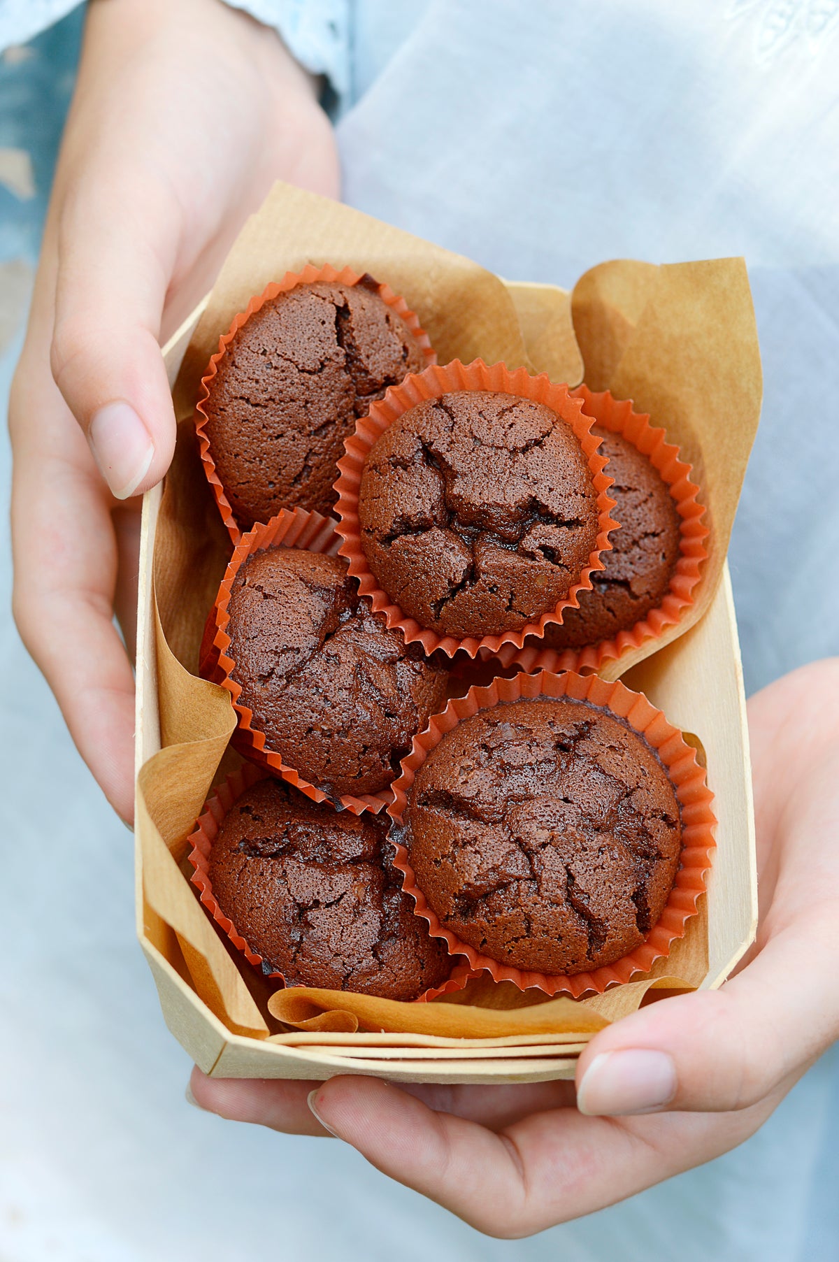 60 recettes au chocolat pour Companion, Cook Expert, Monsieur Cuisine et Compact Cook. Classiques, biscuits, desserts festifs et boissons réconfortantes.