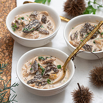 60 recettes festives pour Companion, Cook Expert, Monsieur Cuisine et Compact Cook. Apéro, entrées, plats et desserts de fêtes pour Noël et réveillons.